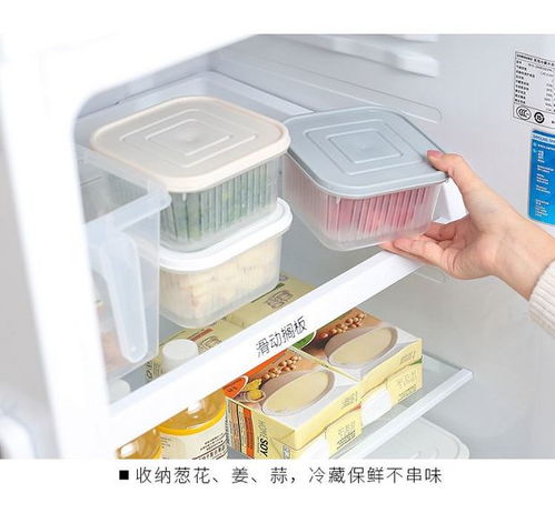創(chuàng)意廚房好物 點(diǎn)亮烹飪樂趣，提升家居幸福感